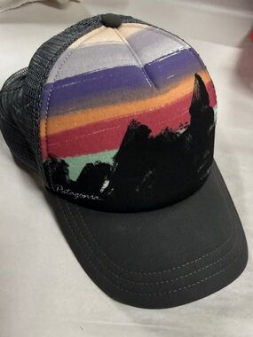 Patagonia SnapBack Cap
